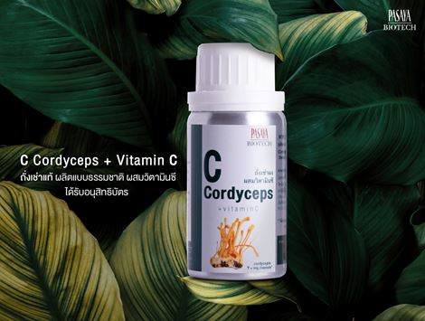Picture for category C cordyceps