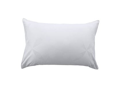 Picture of PASAYA Pillow case -1100 thread Cottonism Series - GRANDIOS