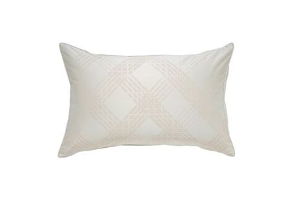 Picture of PASAYA Pillow case -1100 thread Cottonism Series -  PLATINUM GOLD